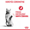 Royal Canin Appetite Control Care Karma Mokra W Sosie Dla Kotów Domagających Się Jedzenia 85g