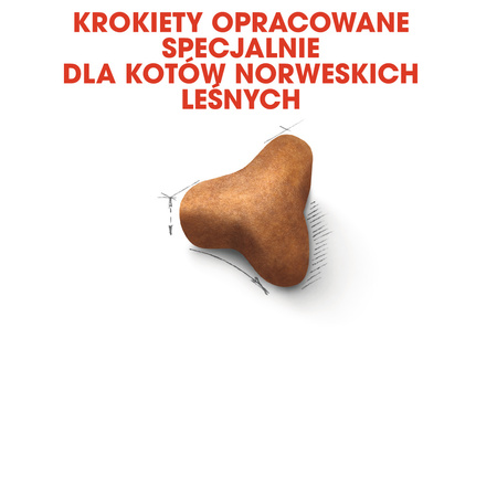 Royal Canin FBN Norvegian Forest Cat Adult 10kg Karma Sucha Dla Kotów Dorosłych Rasy Norweski Leśny