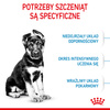 Royal Canin Maxi Puppy 15kg Karma Sucha Dla Szczeniąt Ras Dużych + Szampon VetExpert 250ml