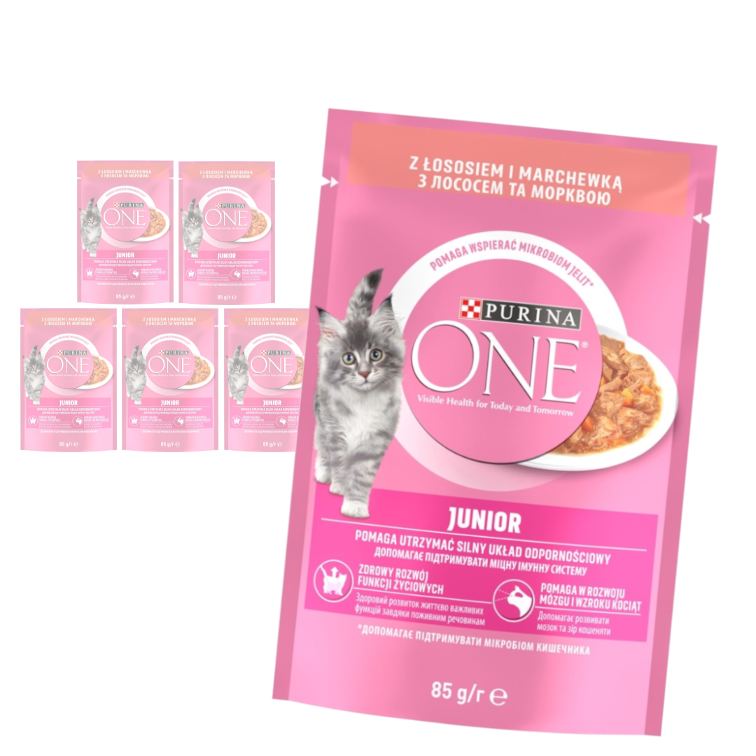 Purina One Junior 6x85g Mokra Karma Dla Kociąt Z Łososiem I Marchewką