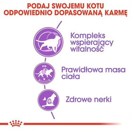 Royal Canin Sterilised +7 Karma Sucha Dla Kotów Dorosłych Sterylizowanych 10kg Od 7 Do 12 Roku Życia