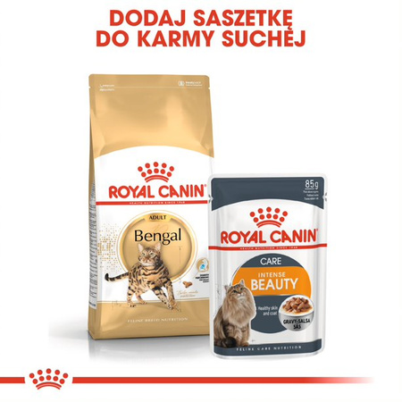 Royal Canin FBN Bengal Adult 10kg Karma Sucha Dla Kotów Dorosłych Rasy Bengalskiej Powyżej 12 Miesiąca Życia