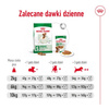 Royal Canin Mini Adult 800g Karma Sucha Dla Psów Dorosłych Ras Małych
