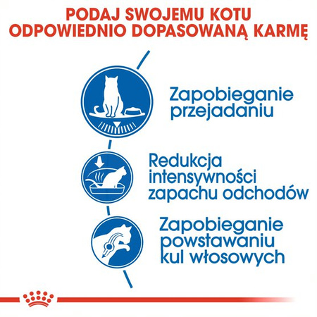 Royal Canin Indoor Apetite Control 2kg Karma Sucha Dla Kotów Dorosłych Przebywających W Domu Domagających Się Jedzenia