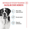 Royal Canin SHN Giant Junior 15kg Karma Sucha Dla Szczeniąt Od 8 Do 18/24 Miesiąca Życia Ras Olbrzymich