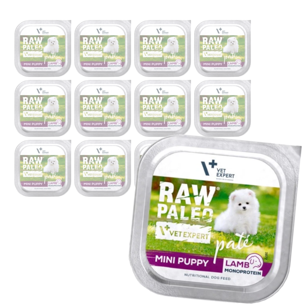 Raw Paleo Lamb Pate Mini Puppy Monoproteinowa Mokra Karma Pasztet Dla Szczeniąt Małych Ras Z Jagnięciną