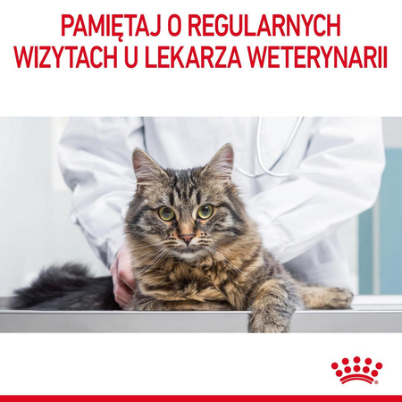 Royal Canin Dental 1,5kg Karma Sucha Dla Kotów Dorosłych Redukująca Odkładanie Kamienia Nazębnego