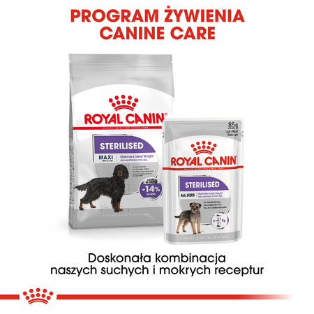 Royal Canin CCN Maxi Sterilised 3kg Karma Sucha Dla Psów Dorosłych Ras Dużych Sterylizowanych