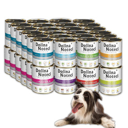 DOLINA NOTECI MIX SMAKÓW 48x400g BEZ KURCZAKA