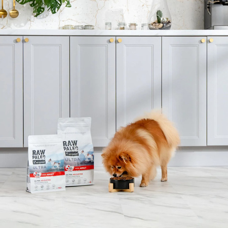 Raw Paleo Ultra Beef Mini Adult 750g Sucha Karma z Wołowiną Dla Psów Dorosłych Ras Małych