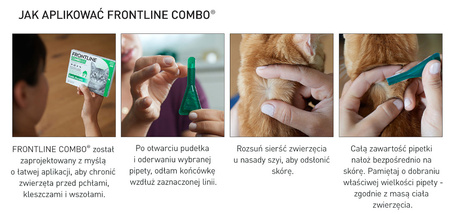 Frontline Combo Spot-On Dla Kotów Pipeta 3x0,5ml Krople Na Pchły Kleszcze i Wszoły