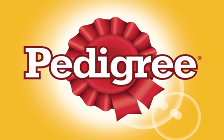 PEDIGREE Adult Mini 2x2kg Z Drobiem I Wołowiną Sucha Karma Pełnoporcjowa Dla Dorosłych Psów Małych Ras