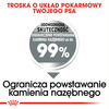Royal Canin CCN Medium Dental Care 1kg Karma Sucha Dla Psów Dorosłych Ras Średnich Redukująca Powstawanie Kamienia Nazębnego