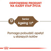 Royal Canin Ageing +12 Senior 400g Karma Sucha Dla Kotów Dojrzałych Powyżej 12 Roku Życia