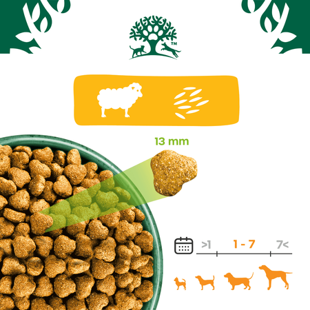 James Wellbeloved Adult 12kg Sucha Karma Dla Dorosłych Psów Bogata W Jagnięcinę I Ryż