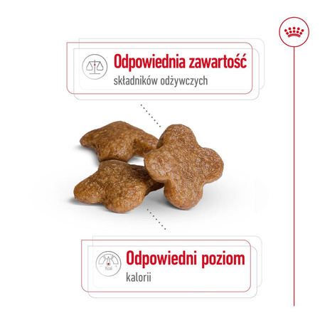 Royal Canin Mini Adult 8+ 8kg Karma Sucha Dla Psów Starszych Od 8 Do 12 Roku Życia Ras Małych