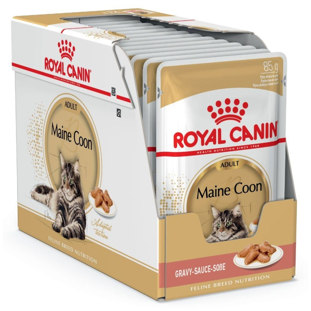 Royal Canin FBN Maine Coon Adult Karma Mokra W Sosie