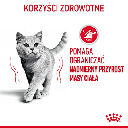 Royal Canin Light Weight Care w Sosie 85g Karma Mokra Dla Kotów z Tendencją Do Nadwagi
