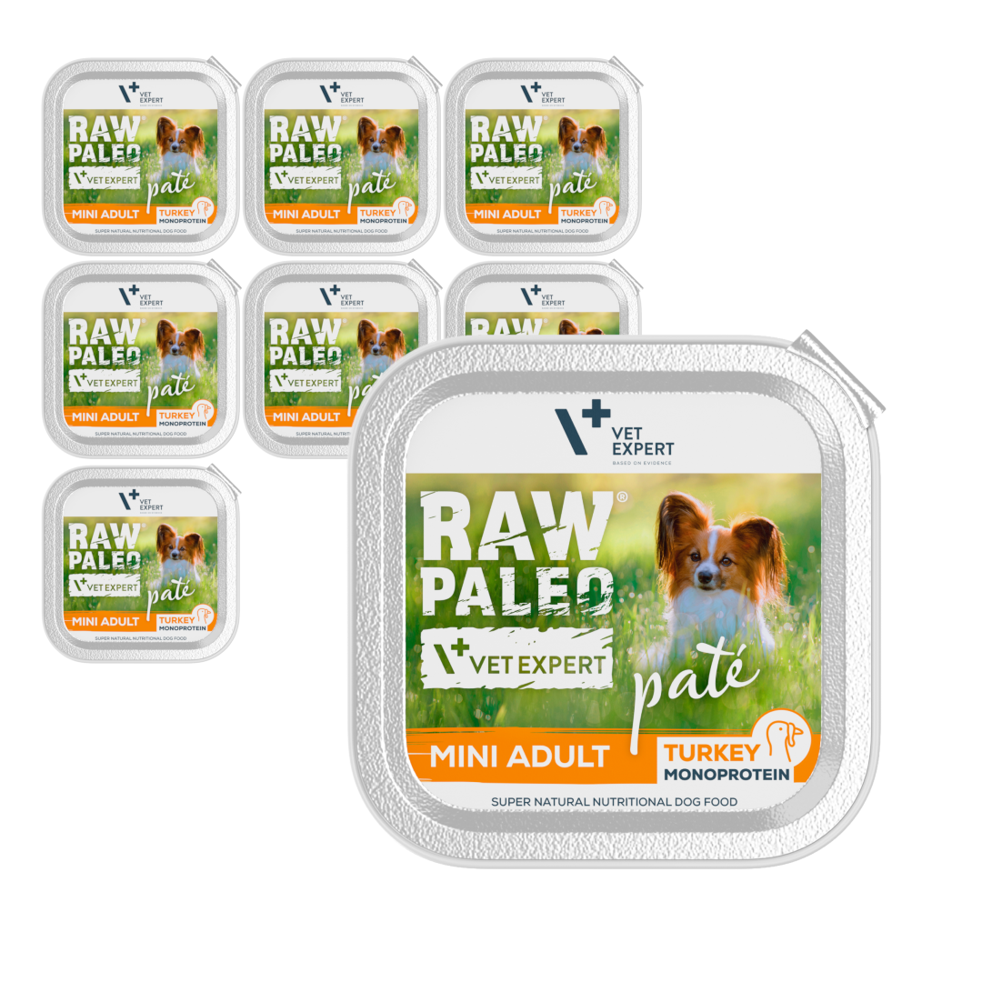 Raw Paleo Mokra Karma Dla Psów Małych Ras z Indykiem