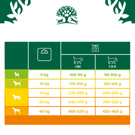 James Wellbeloved Adult 12kg Sucha Karma Dla Dorosłych Psów Bogata W Jagnięcinę I Ryż