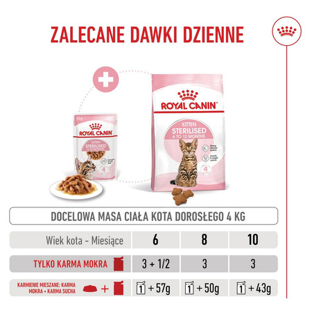 Royal Canin FHN Kitten Sterilised W Sosie 24x85g Karma Mokra Dla Kociąt Sterylizowanych Do 12 Miesiąca Życia