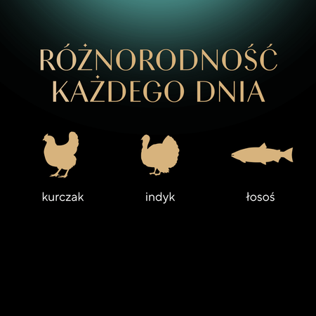 Sheba Fresh & Fine Saszetki 6x50g Mokra Karma W Sosie Dla Kotów Kurczak Łosoś Indyk
