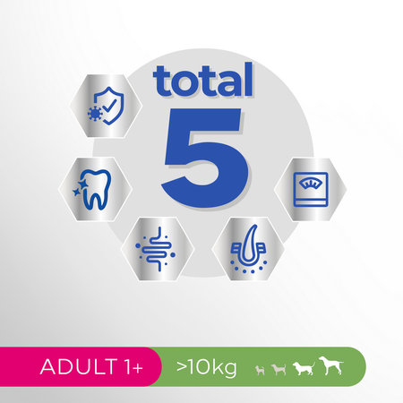 Perfect Fit 6kg Sucha Karma Pełnoporcjowa Dla Dorosłych Psów Średnich I Dużych Ras Kurczak