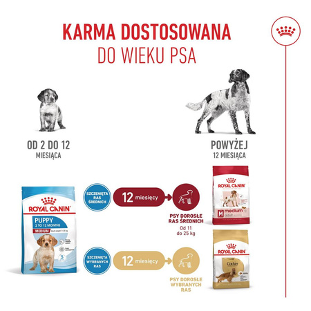 Royal Canin SHN Medium Puppy 15kg Karma Sucha Dla Szczeniąt Od 2 Do 12 Miesiąca Ras Średnich