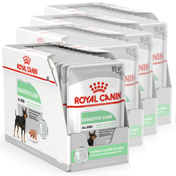 Royal Canin CCN Digestive Care 48x85g Karma Mokra Pasztet Dla Psów o Wrażliwym Przewodzie Pokarmowym