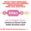 Royal Canin FBN British Shorthair Kitten 2kg Karma Sucha Dla Kociąt Do 12 Miesiąca Rasy Brytyjski Krótkowłosy