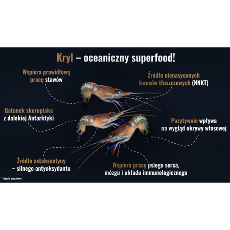 John Dog Berry Adult Wołowina z Krylem 3kg Karma Sucha Dla Psów Średnich i Dużych Ras