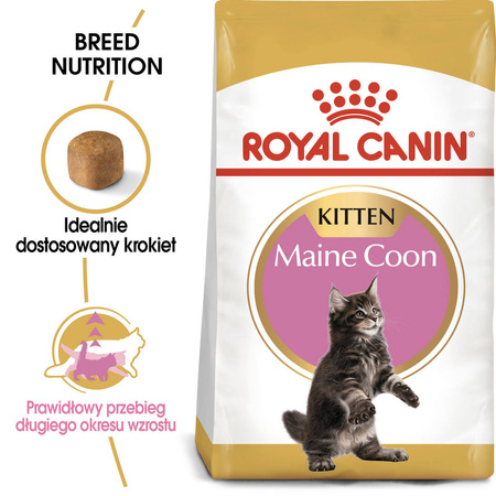 Royal Canin FBN Maine Coon Kitten 400g Karma Sucha Dla Kociąt Do 15 Miesiąca Rasy Maine Coon