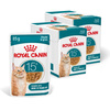 Royal Canin Ageing 15+ Karma Mokra 24x85g Kawałki w Sosie Dla Kotów Dojrzałych Po 15 Roku Życia