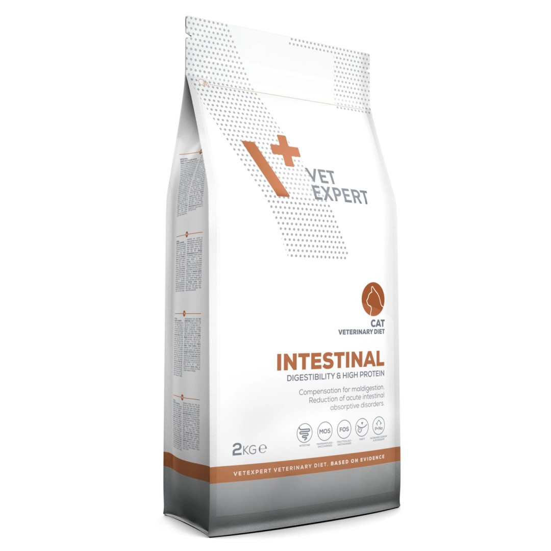 Vet Expert Intestinal Cat