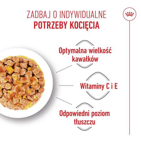 Royal Canin FHN Kitten Sterilised W Galaretce 12x85g Karma Mokra Dla Kociąt Sterylizowanych Do 12 Miesiąca Życia