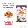 Royal Canin Hair & Skin 12x85g Mokra Karma Dla Kotów Dorosłych w Galaretce Zdrowa Skóra Piękna Sierść
