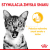 Royal Canin FHN Sensory Taste 85g Karma Mokra Kawałki W Sosie Dla Kotów Dorosłych Pobudzająca Wrażenia Smakowe