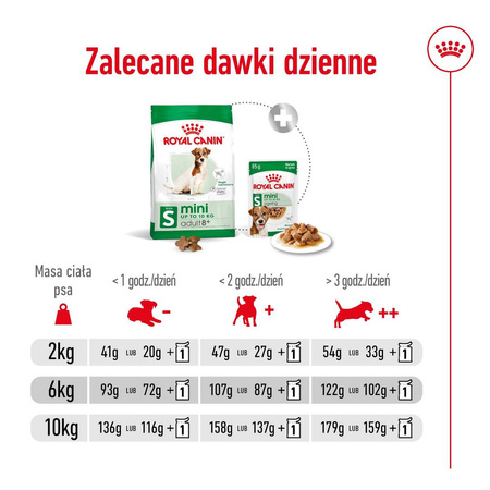 Royal Canin Mini Adult 8+ 2kg Karma Sucha Dla Psów Starszych Od 8 Do 12 Roku Życia Ras Małych
