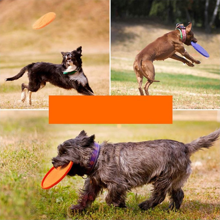 Frisbee Gumowa Zabawka Dla Psa Latający Dysk Kolor Różowy Średnica 18cm