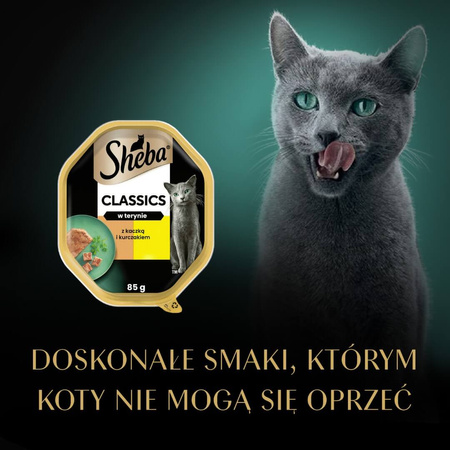 Sheba Classics Tacka 85g Mokra Karma Pełnoporcjowa Dla Kota Z Kaczką I Kurczakiem W Terynie