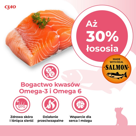 Inaba Cat Churu Salmon Recipe 40x14g Kremowy Przysmak Dla Kota Pasta Mix 4 Smaków