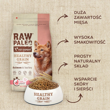 Raw Paleo Healthy Grain Adult Salmon Barley 2kg Sucha Karma z Łososiem Dla Psów Dorosłych