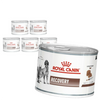 Royal Canin Veterinary VHN Recovery Mousse 6x195g Mokra Karma Mus Dla Psów i Kotów Rekonwalescencja