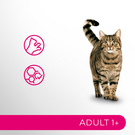 Perfect Fit Adult 1+ 32x85g Mokra Karma Dla Kotów Z Kurczakiem I Wołowiną W Sosie