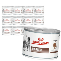 Royal Canin Veterinary VHN Recovery Mousse 12x195g Mokra Karma Mus Dla Psów i Kotów Rekonwalescencja