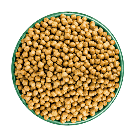 James Wellbeloved Senior 4kg Sucha Karma Pełnoporcjowa Dla Starszych Kotów Bogata W Indyka