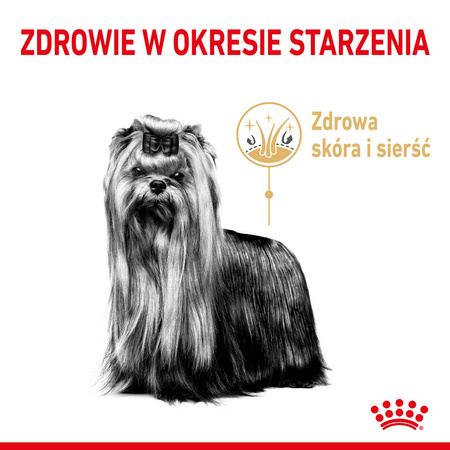 Royal Canin BHN Yorkshire Terrier Adult 8+ 3kg Karma Sucha Dla Dojrzałych Psów Rasy Yorkshire Terrier Powyżej 8 Roku Życia