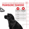 Royal Canin Supplements Dog Immunity & Digest Puppy 100g Suplementy W Postaci Przysmaków Wspierające Prawidłowe Trawienie I Odporność Szczeniąt