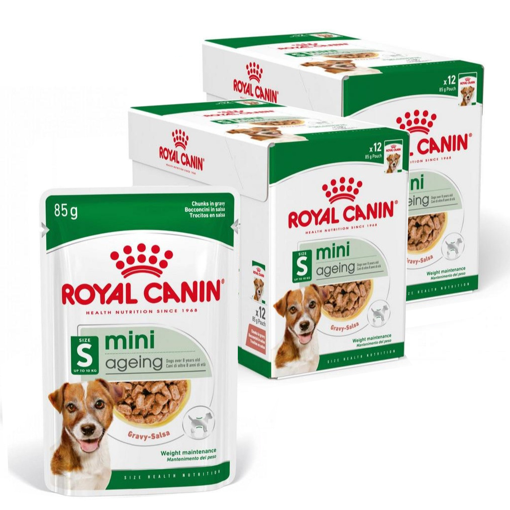 Royal Canin Mini Ageing Mokra Karma Dla Psów Dojrzałych I Starszych Ras Małych