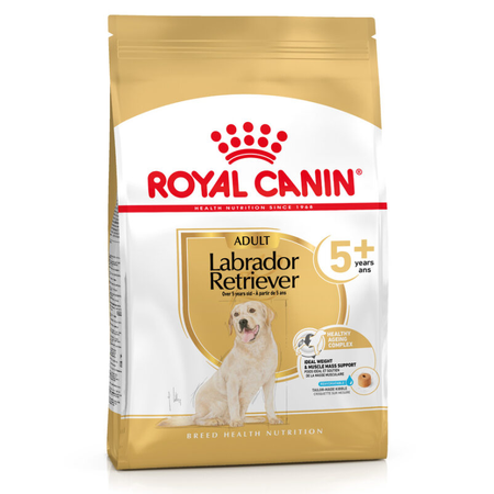 Royal Canin BHN Labrador Retriever 5+ 3kg Karma Sucha Dla Dojrzałych Psów Rasy Labrador Retriever Powyżej 5 Roku Życia